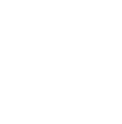 World Cleanup Institute